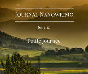 journal-nanowrimo-10