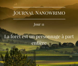 journal-nanowrimo-11
