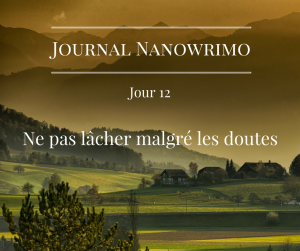 journal-nanowrimo-14