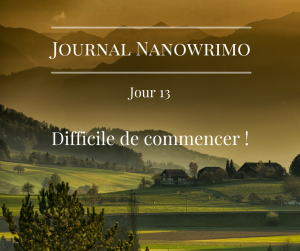 journal-nanowrimo-15