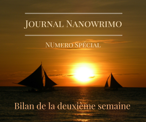 journal-nanowrimo-19