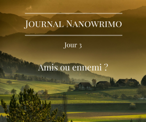 journal-nanowrimo-2