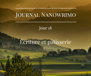 journal-nanowrimo-25