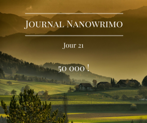 journal-nanowrimo-27