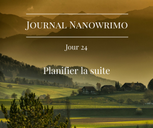 journal-nanowrimo-29