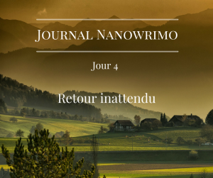 journal-nanowrimo-3