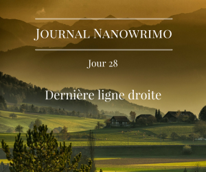 journal-nanowrimo-34