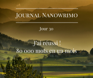 journal-nanowrimo-38