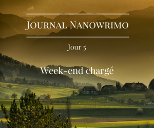 journal-nanowrimo-4