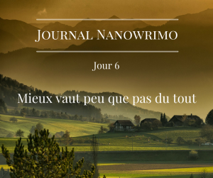 journal-nanowrimo-5