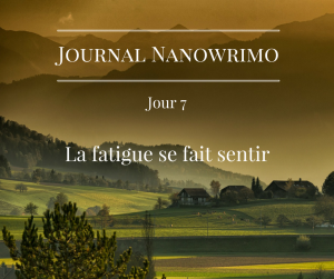 journal-nanowrimo-6