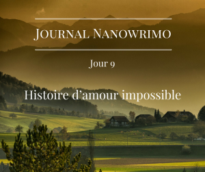 journal-nanowrimo-8