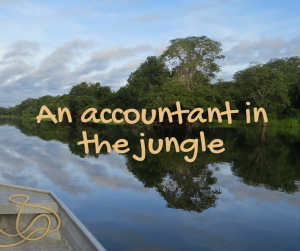 an-accountant-in-the-jungle